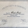 Resmi büyüt: certificate 21
