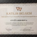 Resmi büyüt: certificate 1