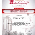 Resmi büyüt: certificate 13