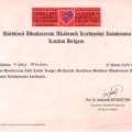 Resmi büyüt: certificate 1