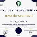 Resmi büyüt: certificate 29