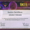 Resmi büyüt: certificate 4