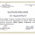Resmi büyüt: certificate 8