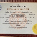 Resmi büyüt: certificate 1