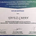Resmi büyüt: certificate 34