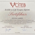 Resmi büyüt: certificate 7