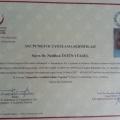 Resmi büyüt: certificate 3
