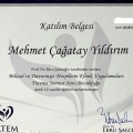 Resmi büyüt: certificate 10