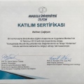 Resmi büyüt: certificate 7