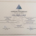 Resmi büyüt: certificate 3