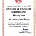 Resmi büyüt: certificate 4
