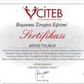 Resmi büyüt: certificate 12