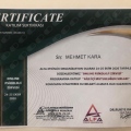 Resmi büyüt: certificate 9
