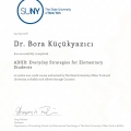 Resmi büyüt: certificate 4