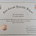 Resmi büyüt: certificate 3