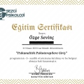 Resmi büyüt: certificate 3