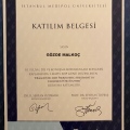 Resmi büyüt: certificate 5