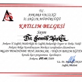 Resmi büyüt: certificate 1