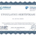 Resmi büyüt: certificate 18