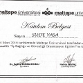 Resmi büyüt: certificate 6