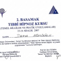 Resmi büyüt: certificate 1