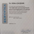 Resmi büyüt: certificate 9