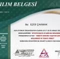 Resmi büyüt: certificate 2