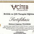 Resmi büyüt: certificate 8