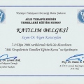 Resmi büyüt: certificate 8
