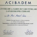 Resmi büyüt: certificate 53