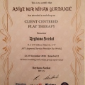 Resmi büyüt: certificate 9