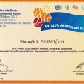Resmi büyüt: certificate 19