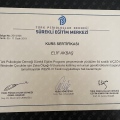 Resmi büyüt: certificate 2