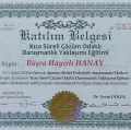 Resmi büyüt: certificate 1