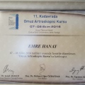 Resmi büyüt: certificate 6