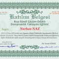 Resmi büyüt: certificate 4