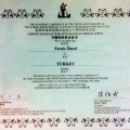 Resmi büyüt: certificate 6