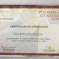 Resmi büyüt: certificate 25
