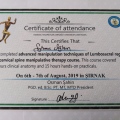 Resmi büyüt: certificate 1