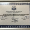 Resmi büyüt: certificate 1