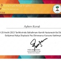Resmi büyüt: certificate 10