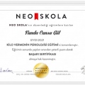 Resmi büyüt: certificate 7
