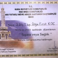 Resmi büyüt: certificate 11