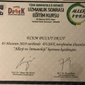 Resmi büyüt: certificate 1