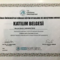 Resmi büyüt: certificate 10