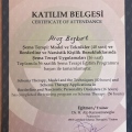 Resmi büyüt: certificate 2