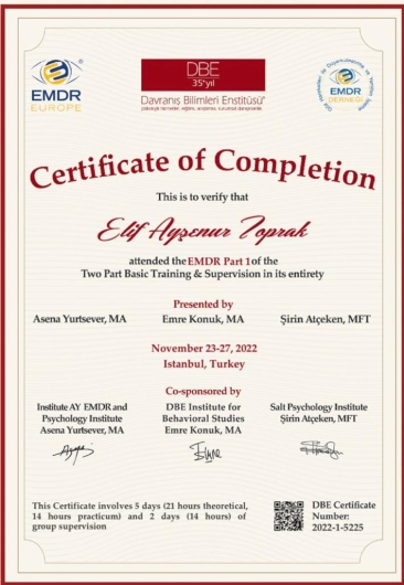 Elif Ayşenur Taşoğlan-1