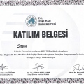 Resmi büyüt: certificate 9