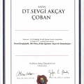 Resmi büyüt: certificate 19
