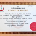 Resmi büyüt: certificate 1